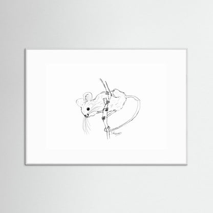 Harvest Mouse - no. 213