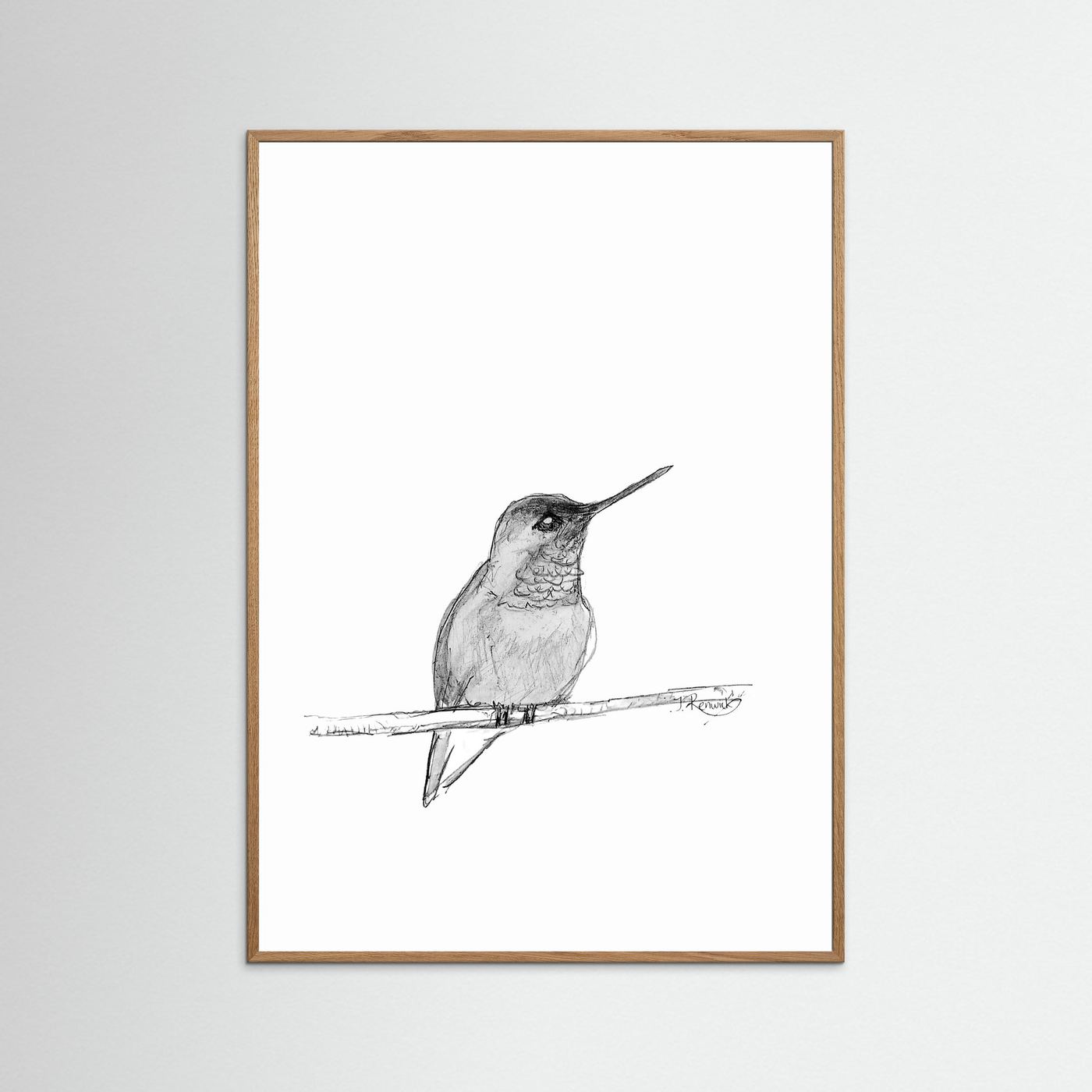 Hummingbird - no. 594