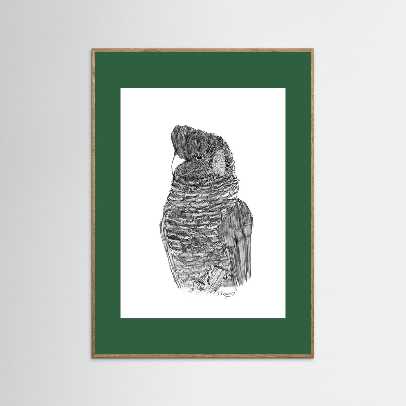 Yellow-tailed Black Cockatoo - no. 229 [A4/letter sizes] 
