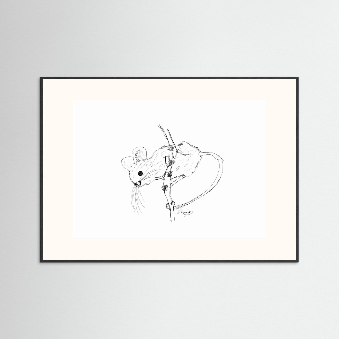 Harvest Mouse - no. 213