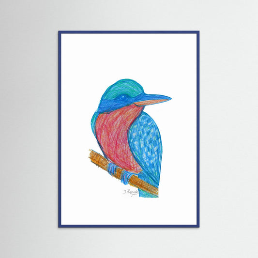 Illustrated Kookaburra - no. 784