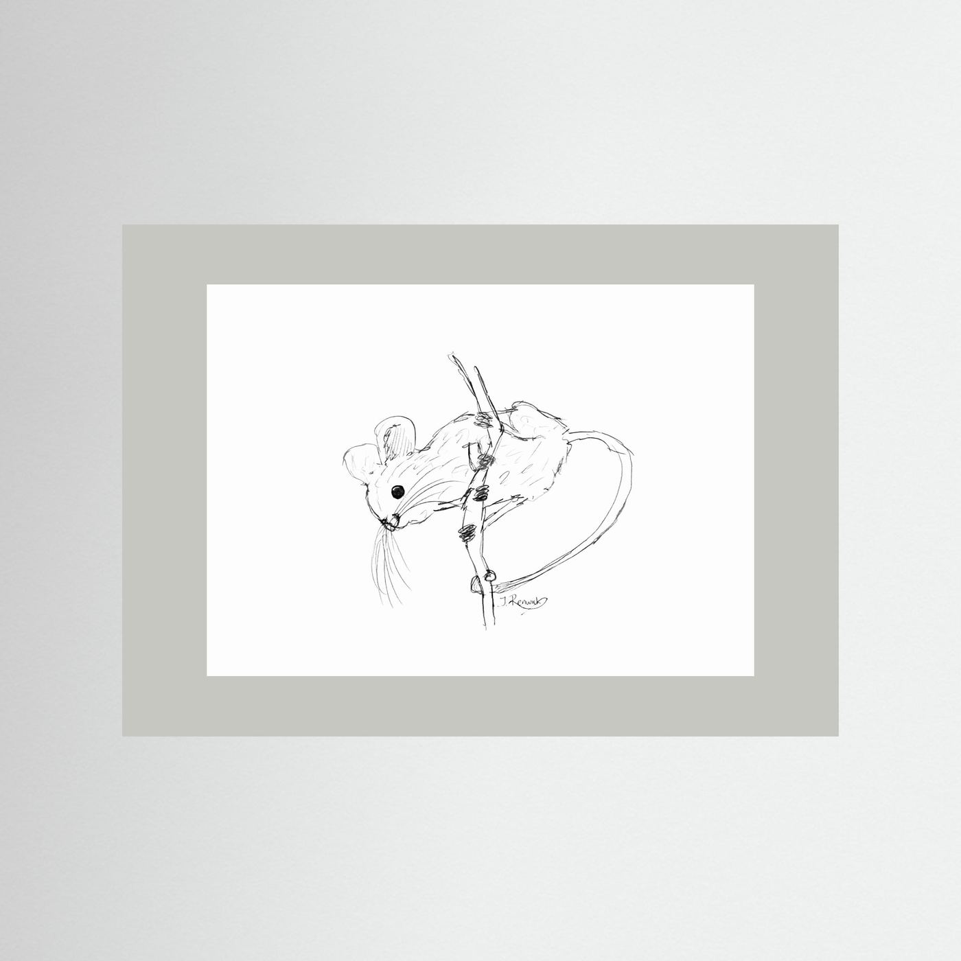 Harvest Mouse - no. 213