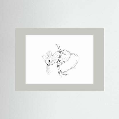 Harvest Mouse - no. 213