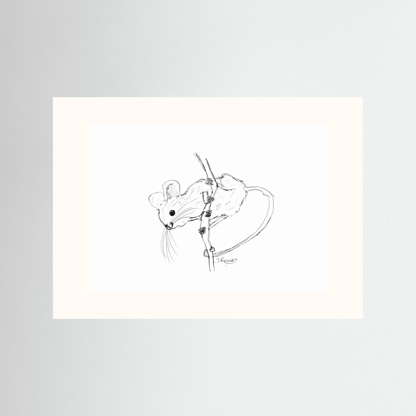 Harvest Mouse - no. 213