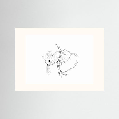 Harvest Mouse - no. 213