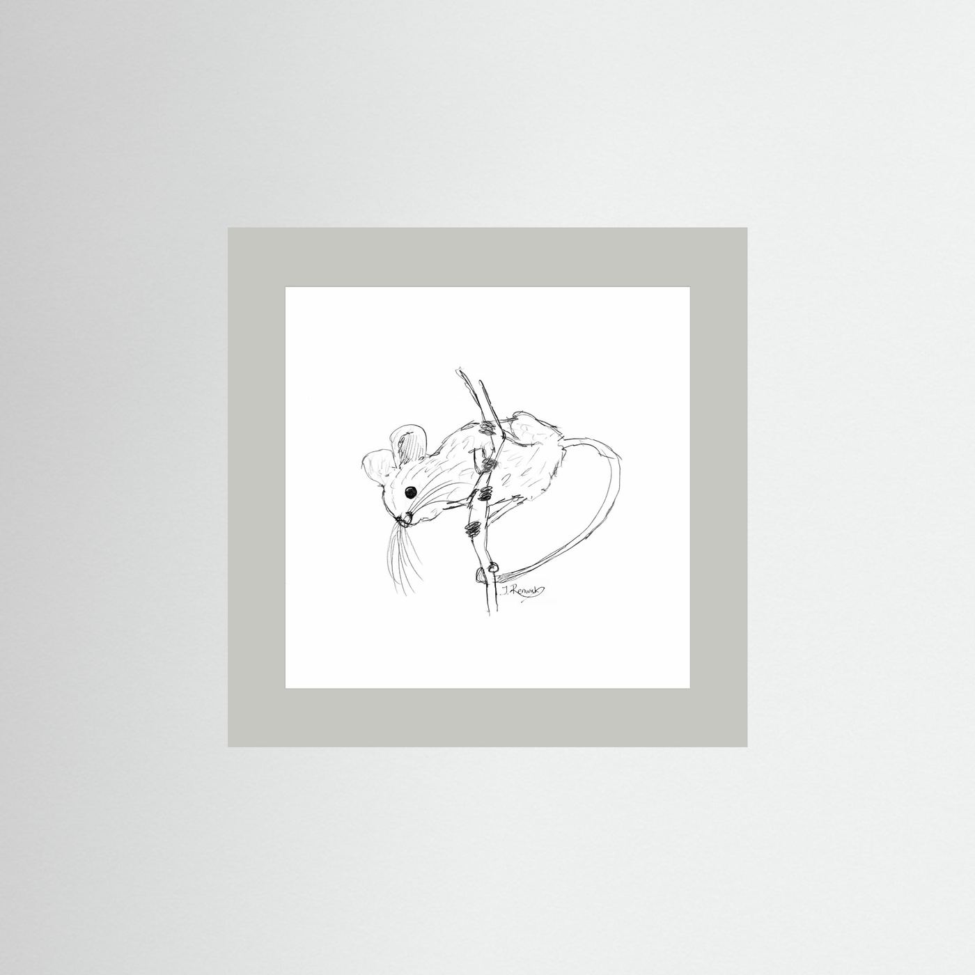 Harvest mouse - no. 213