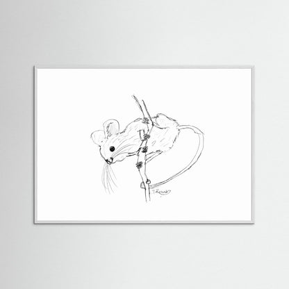 Harvest Mouse - no. 213
