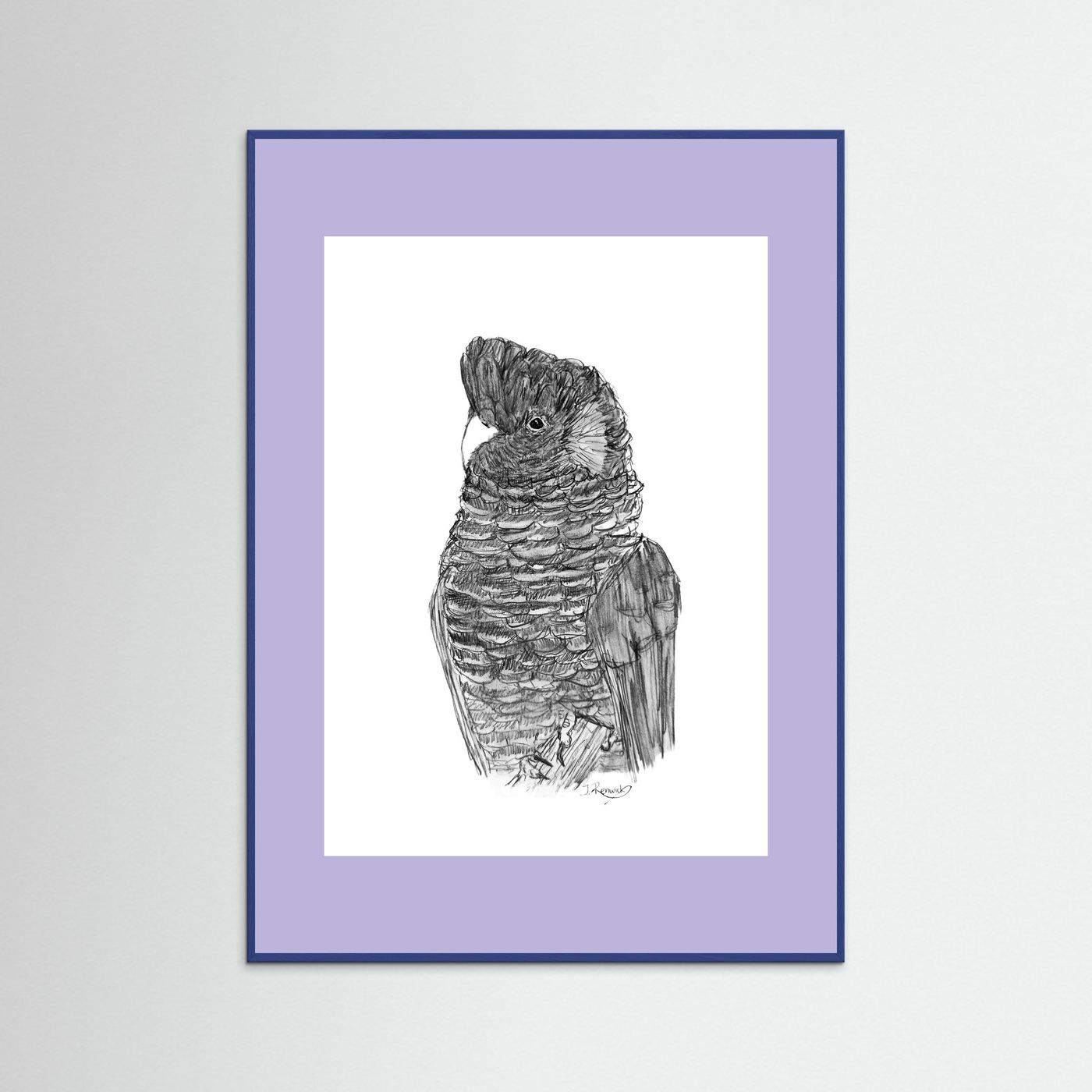 Yellow-tailed Black Cockatoo - no. 229 [A4/letter sizes] 