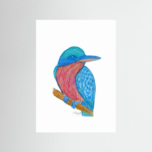 Illustrated Kookaburra - no. 784
