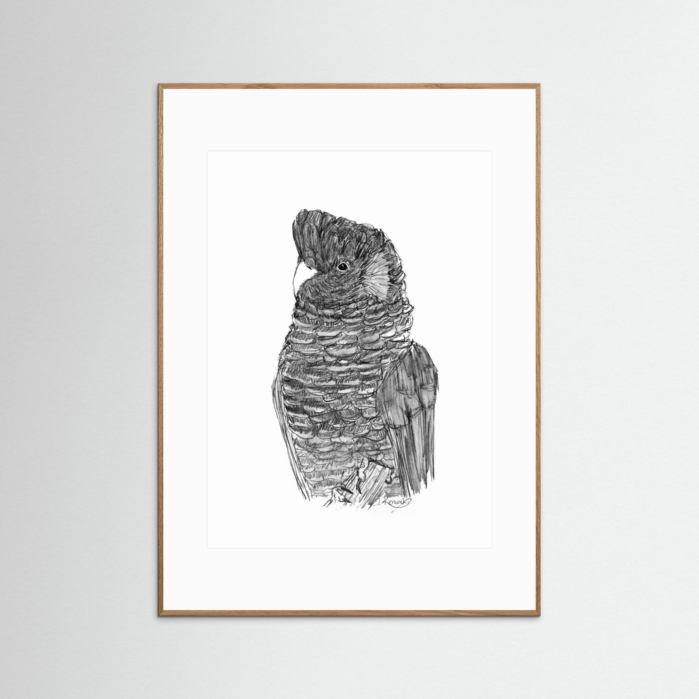 Yellow-tailed Black Cockatoo - no. 229