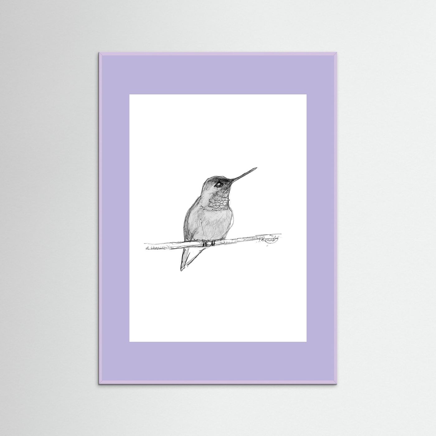 Hummingbird - no. 594