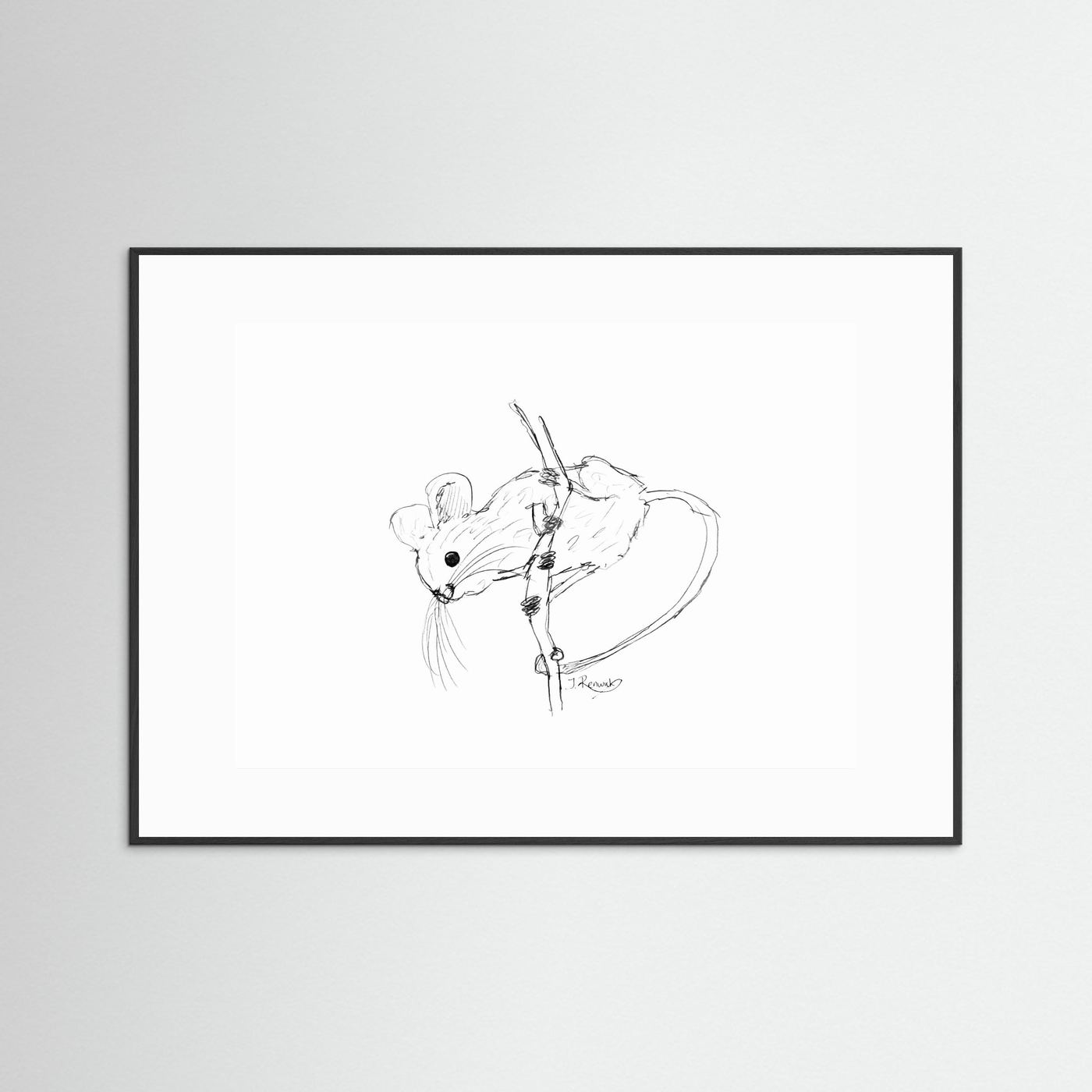 Harvest Mouse - no. 213