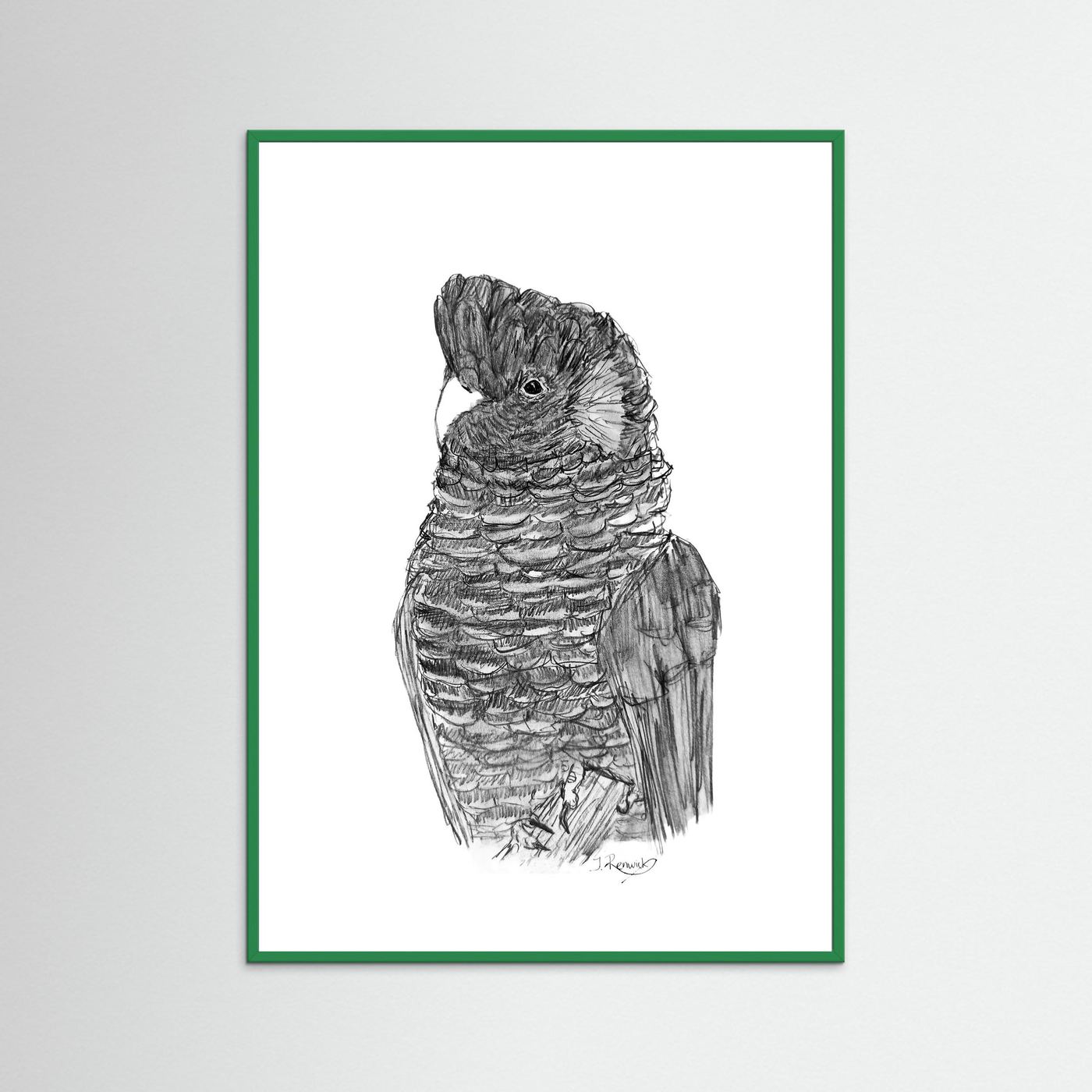 Yellow-tailed Black Cockatoo - no. 229 [A4/letter sizes] 