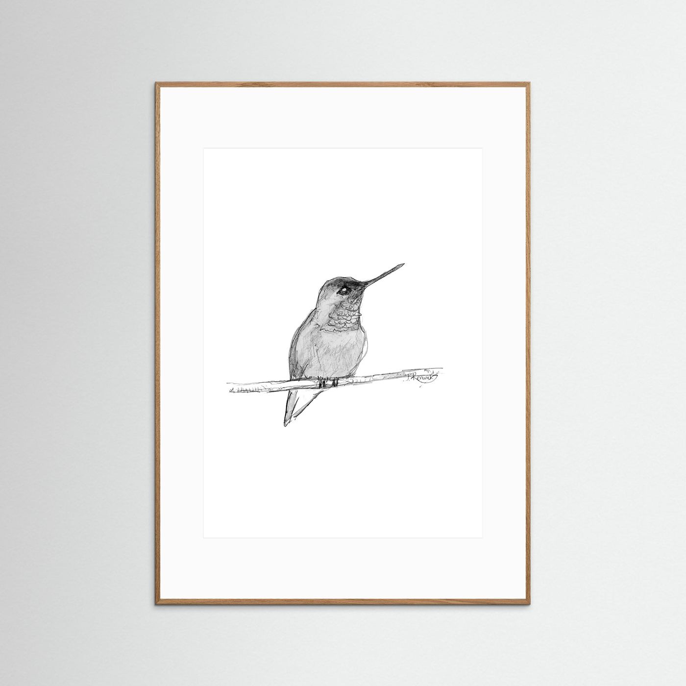 Hummingbird - no. 594