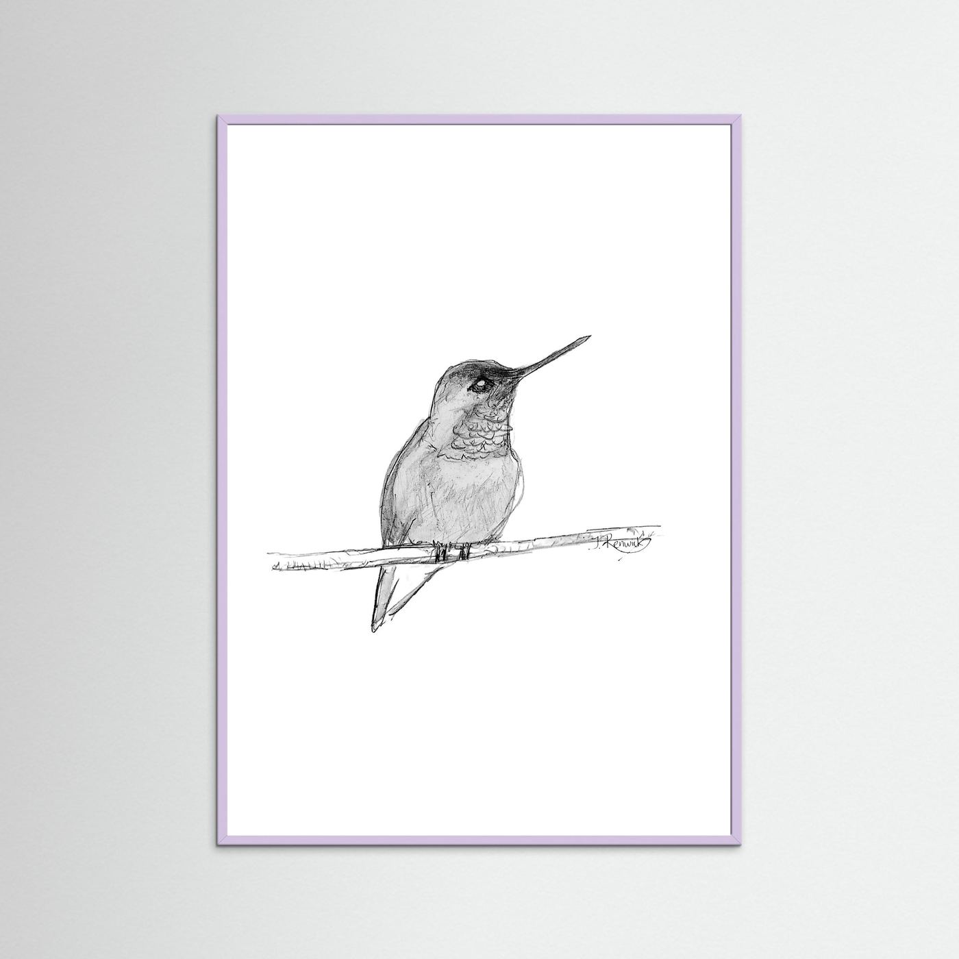 Hummingbird - no. 594