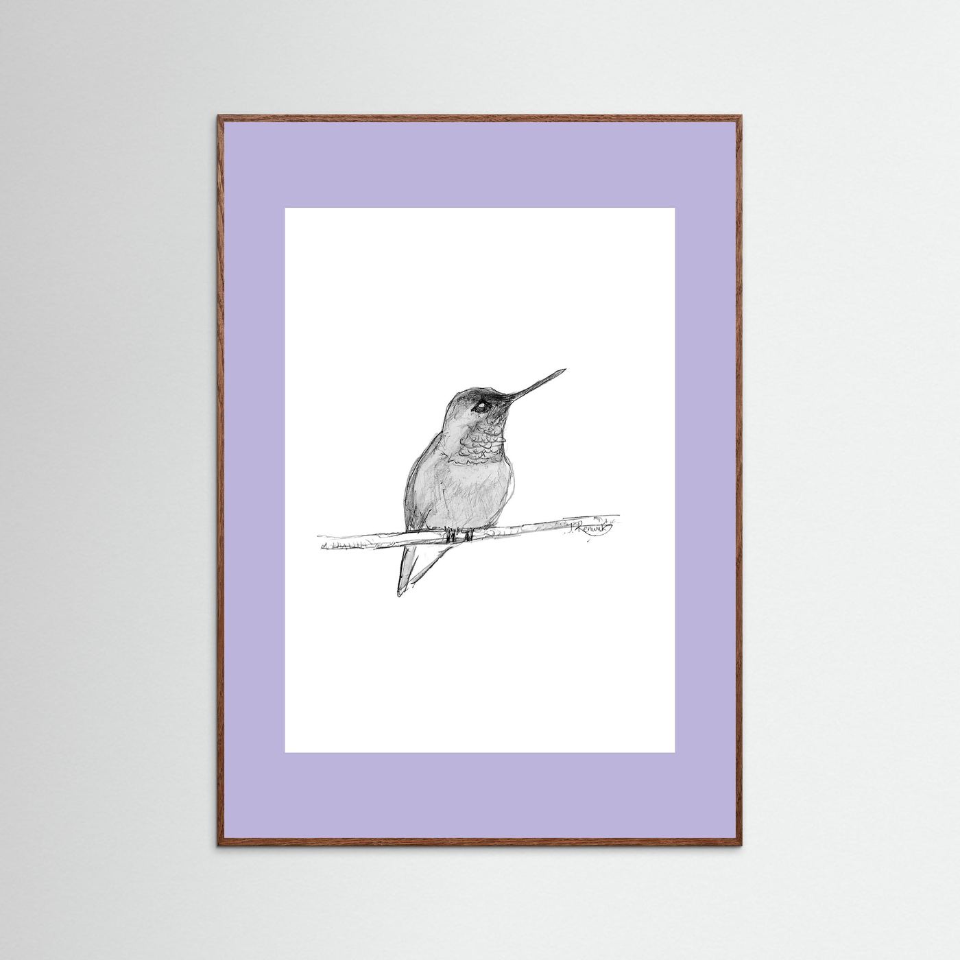Hummingbird - no. 594