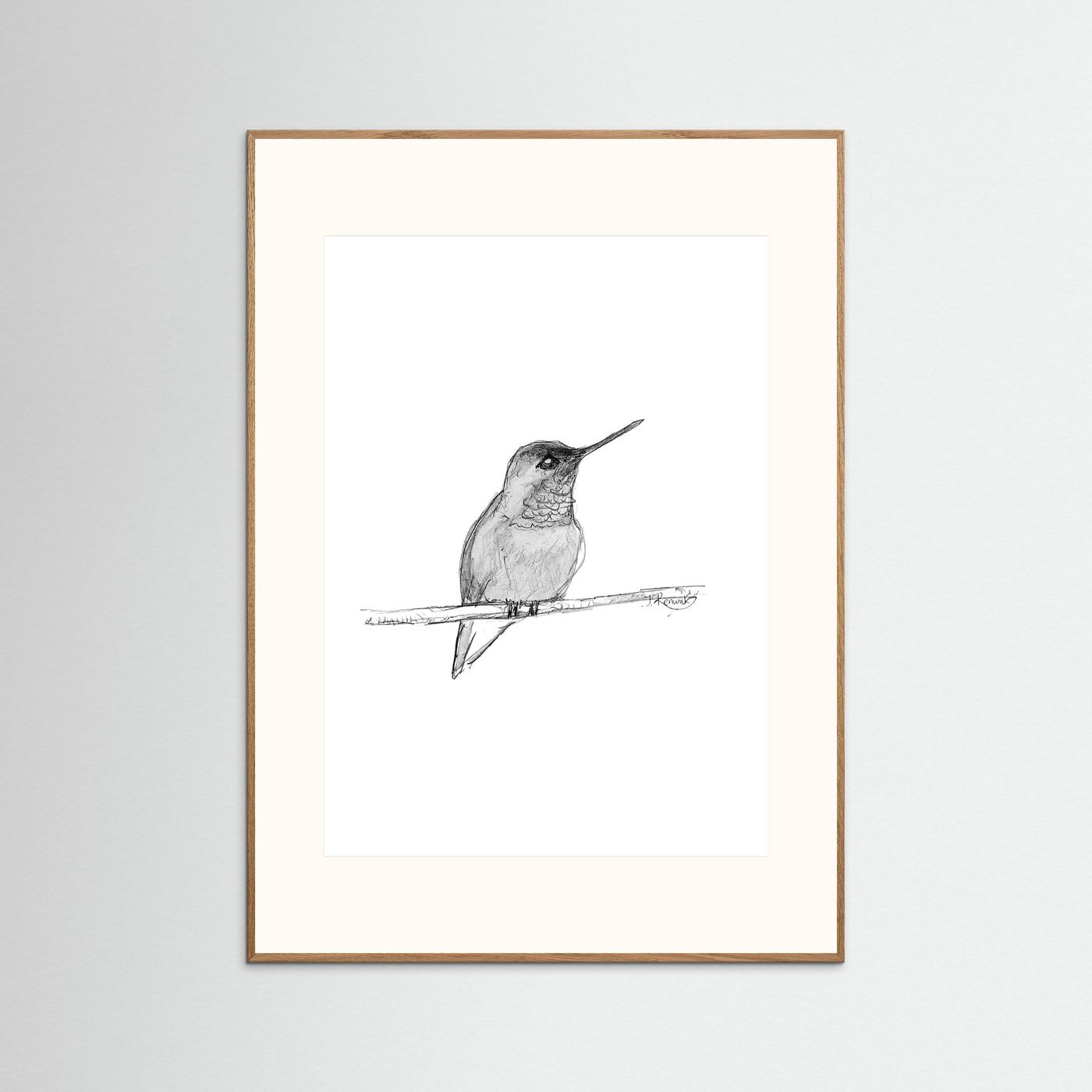 Hummingbird - no. 594