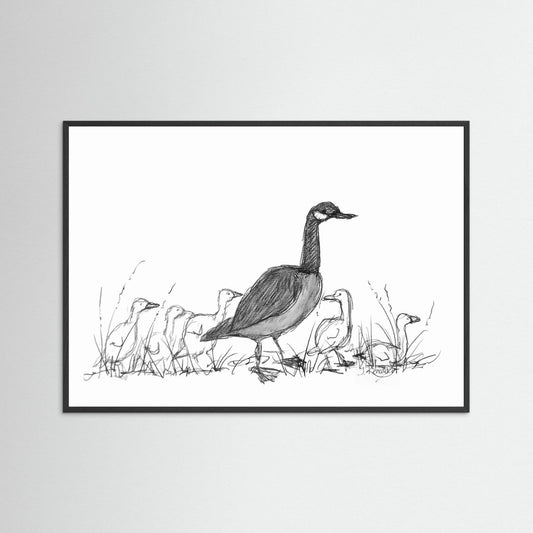 Canada Goose with Goslings - no. 573