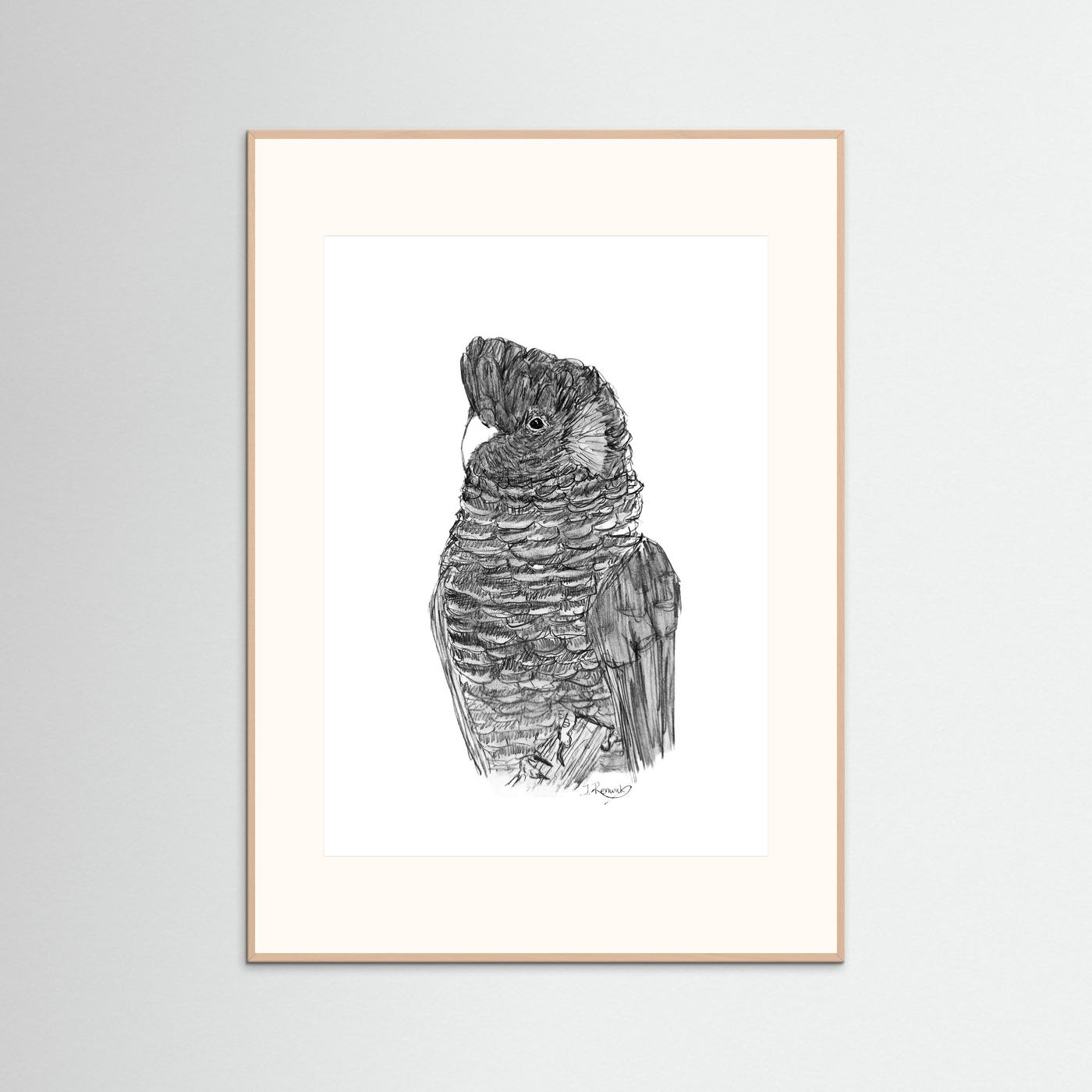 Yellow-tailed Black Cockatoo - no. 229 [A4/letter sizes] 