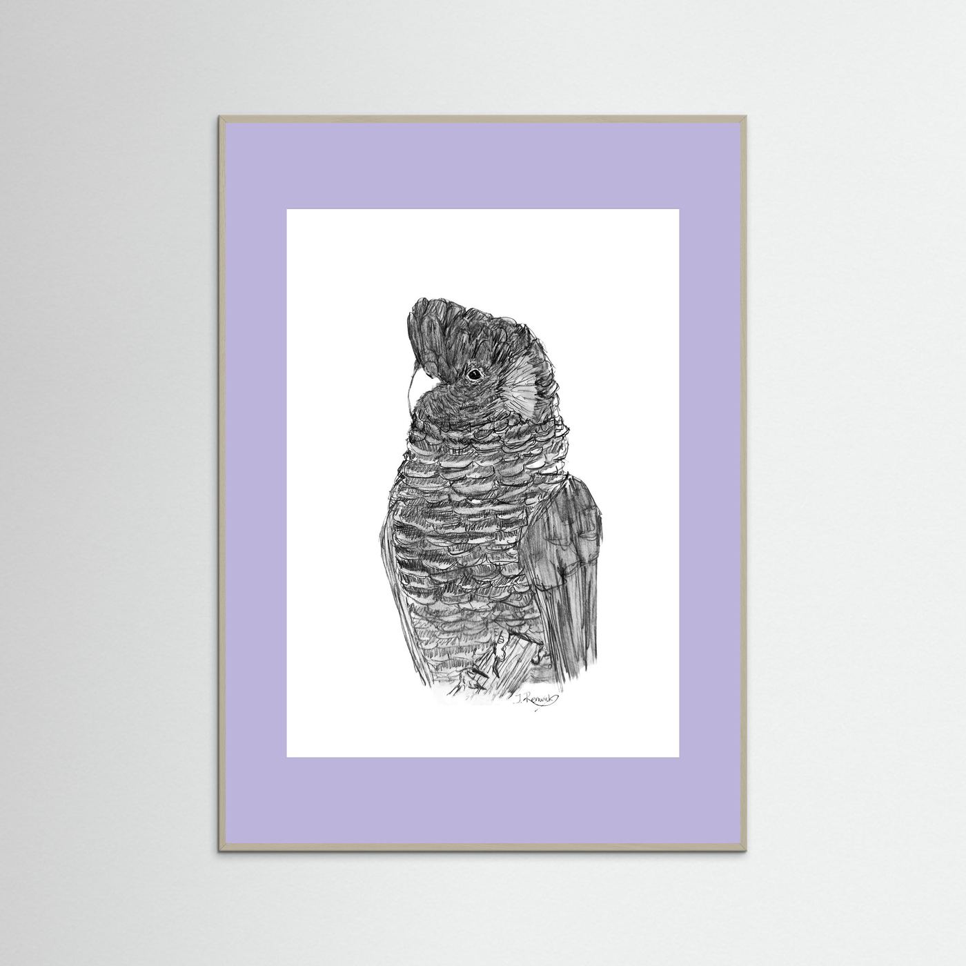 Yellow-tailed Black Cockatoo - no. 229 [A4/letter sizes] 