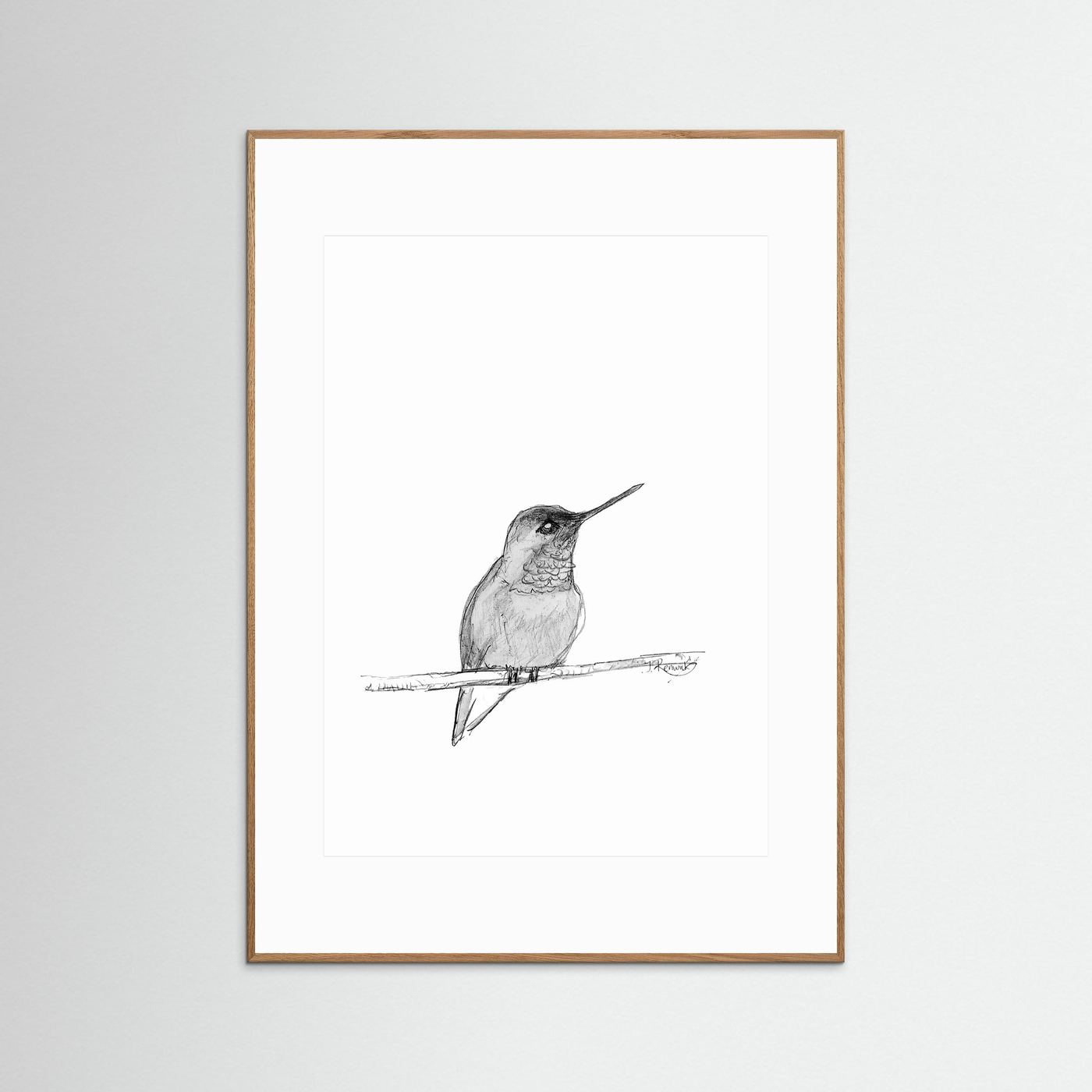 Hummingbird - no. 594
