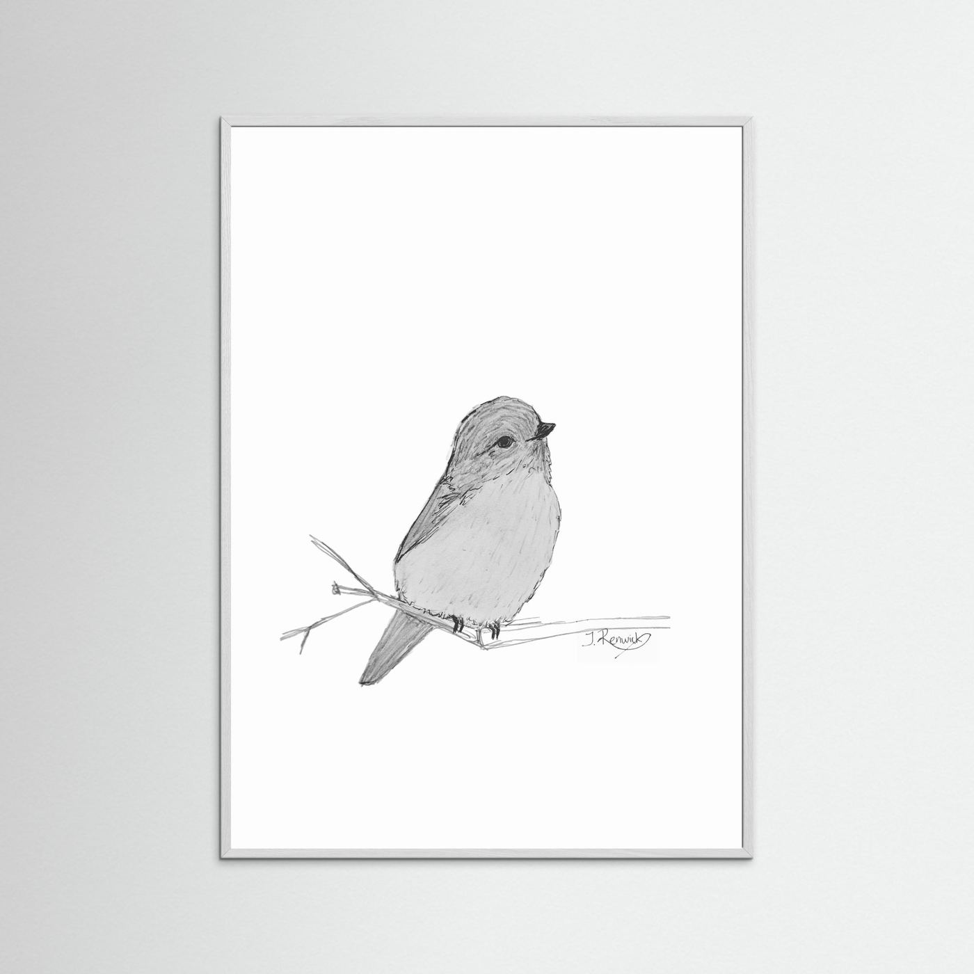 Weebill - no. 412