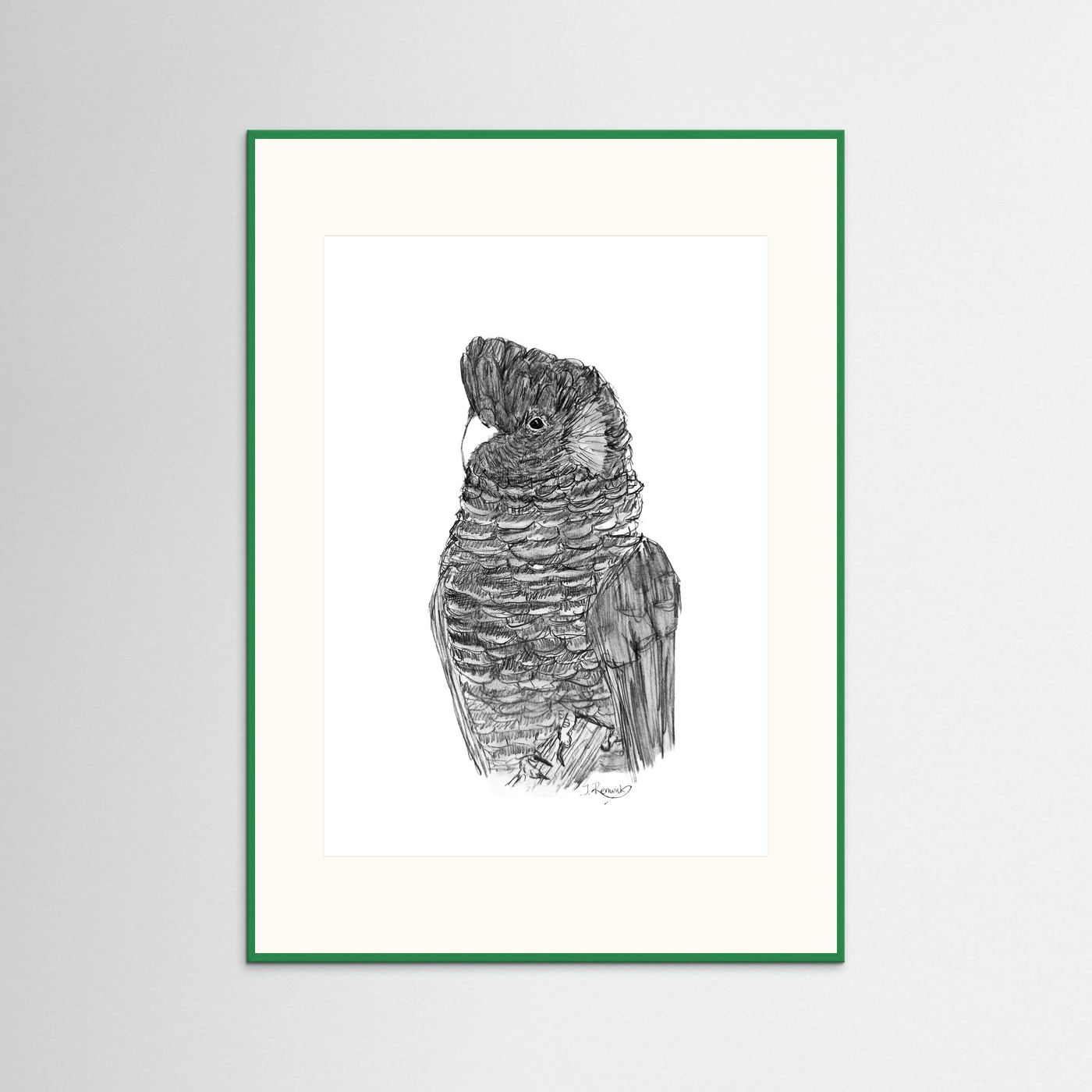 Yellow-tailed Black Cockatoo - no. 229 [A4/letter sizes] 