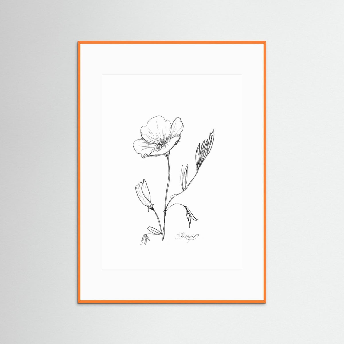 California Poppy - no. 794