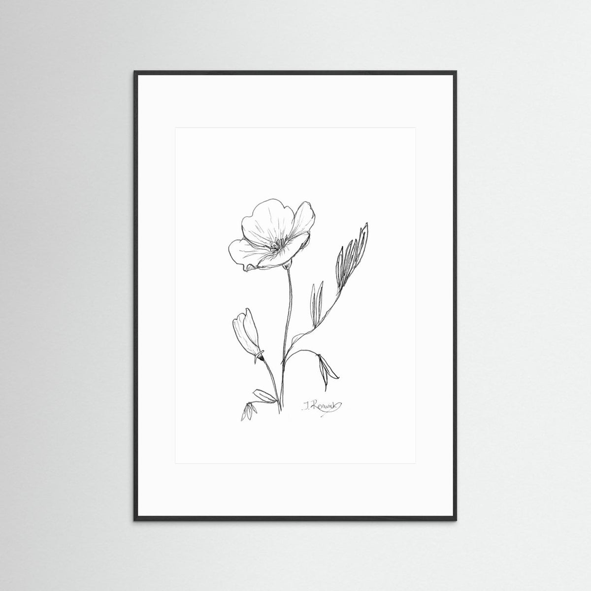 California Poppy - no. 794