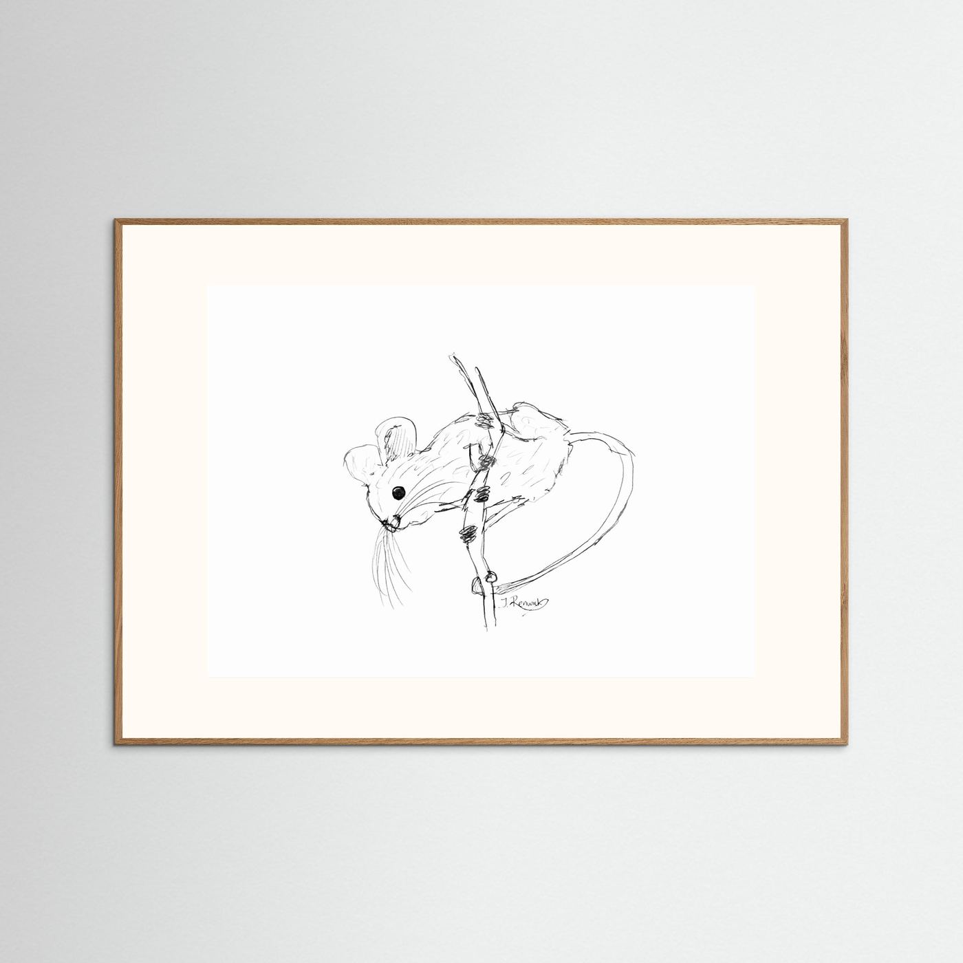 Harvest Mouse - no. 213