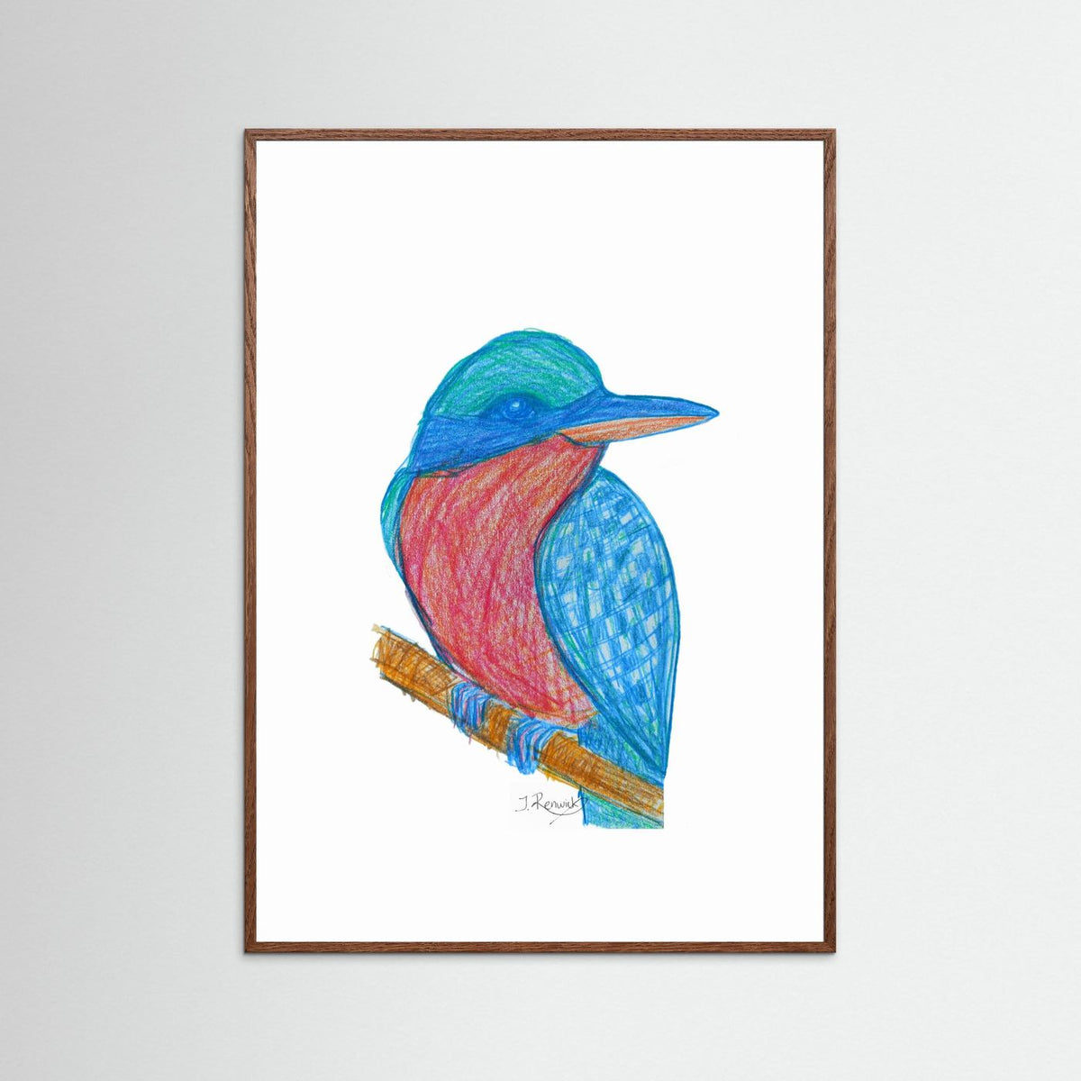 Illustrated Kookaburra - no. 784