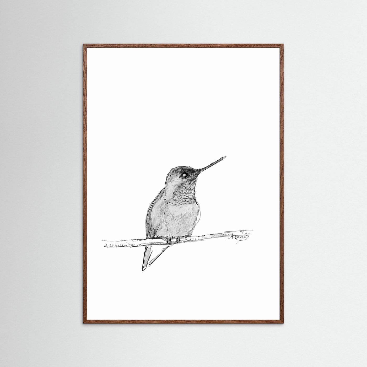 Hummingbird - no. 594