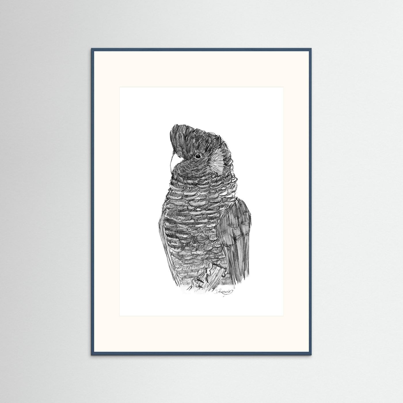 Yellow-tailed Black Cockatoo - no. 229 [A4/letter sizes] 