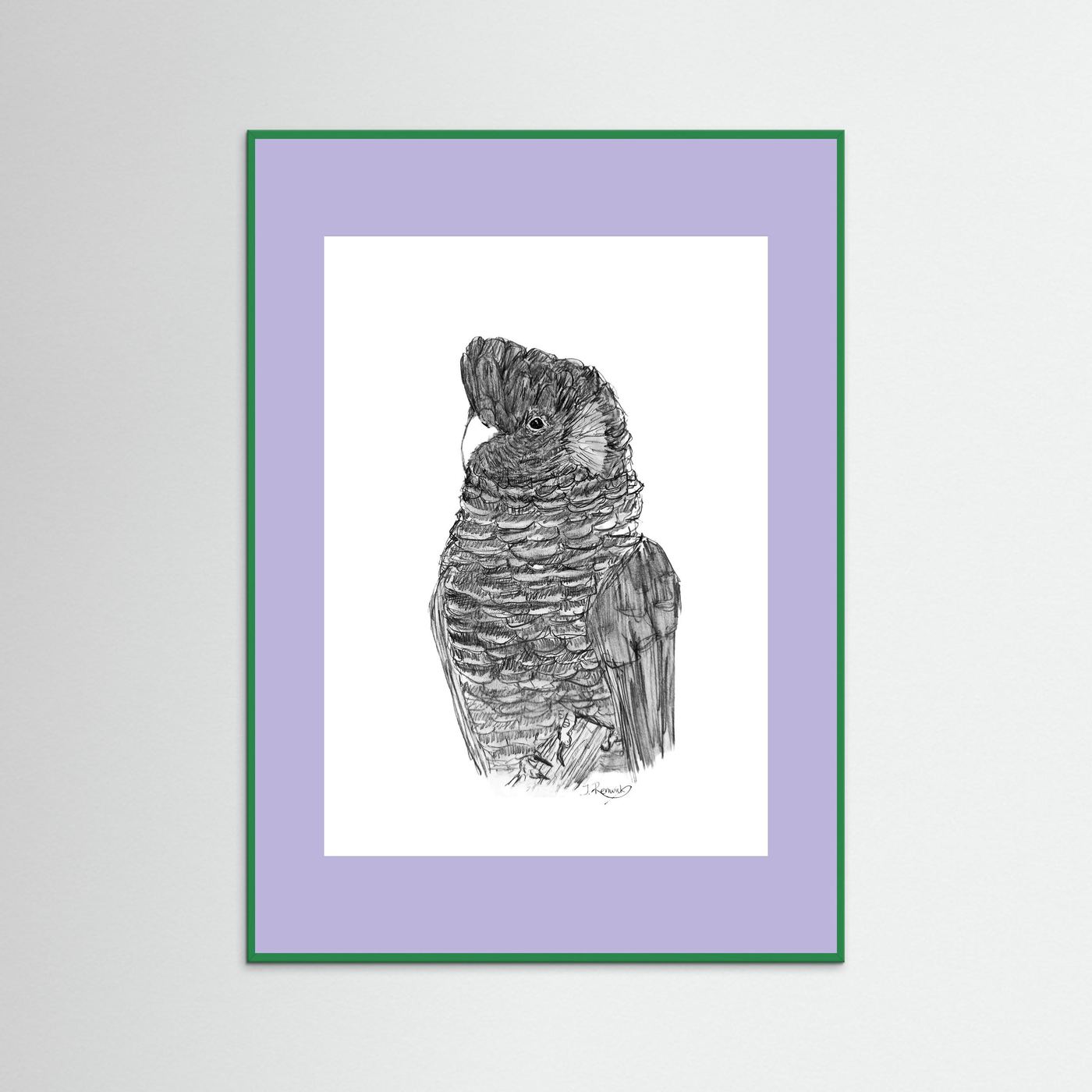 Yellow-tailed Black Cockatoo - no. 229 [A4/letter sizes] 
