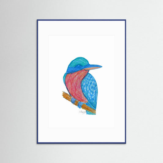 Illustrated Kookaburra - no. 784