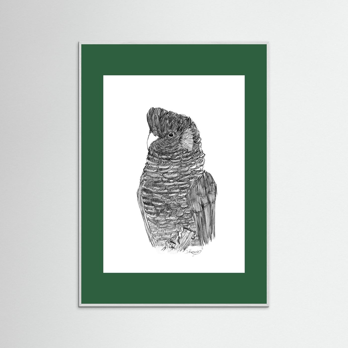 Yellow-tailed Black Cockatoo - no. 229 [A4/letter sizes] 
