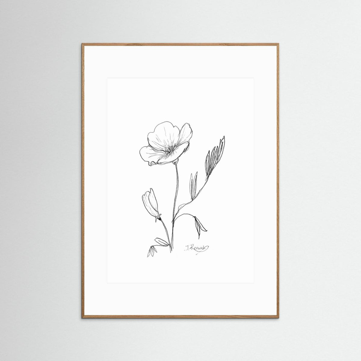California Poppy - no. 794