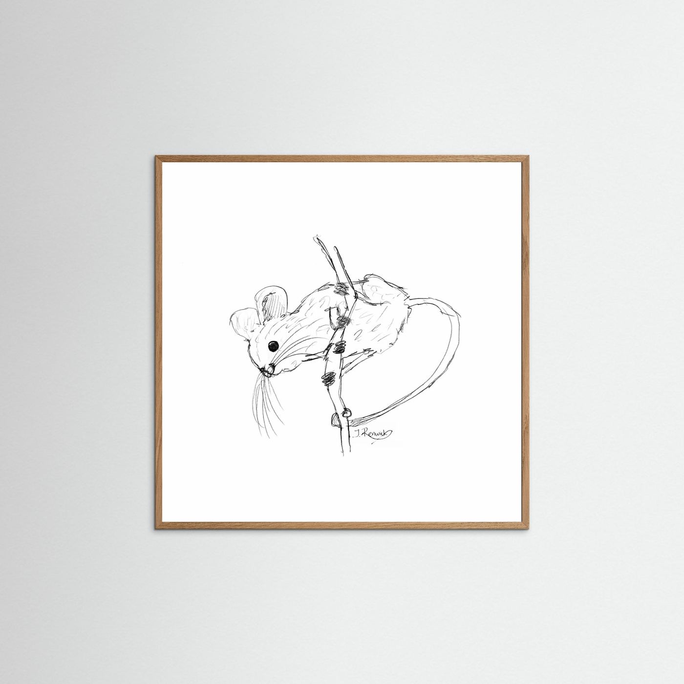 Harvest mouse - no. 213