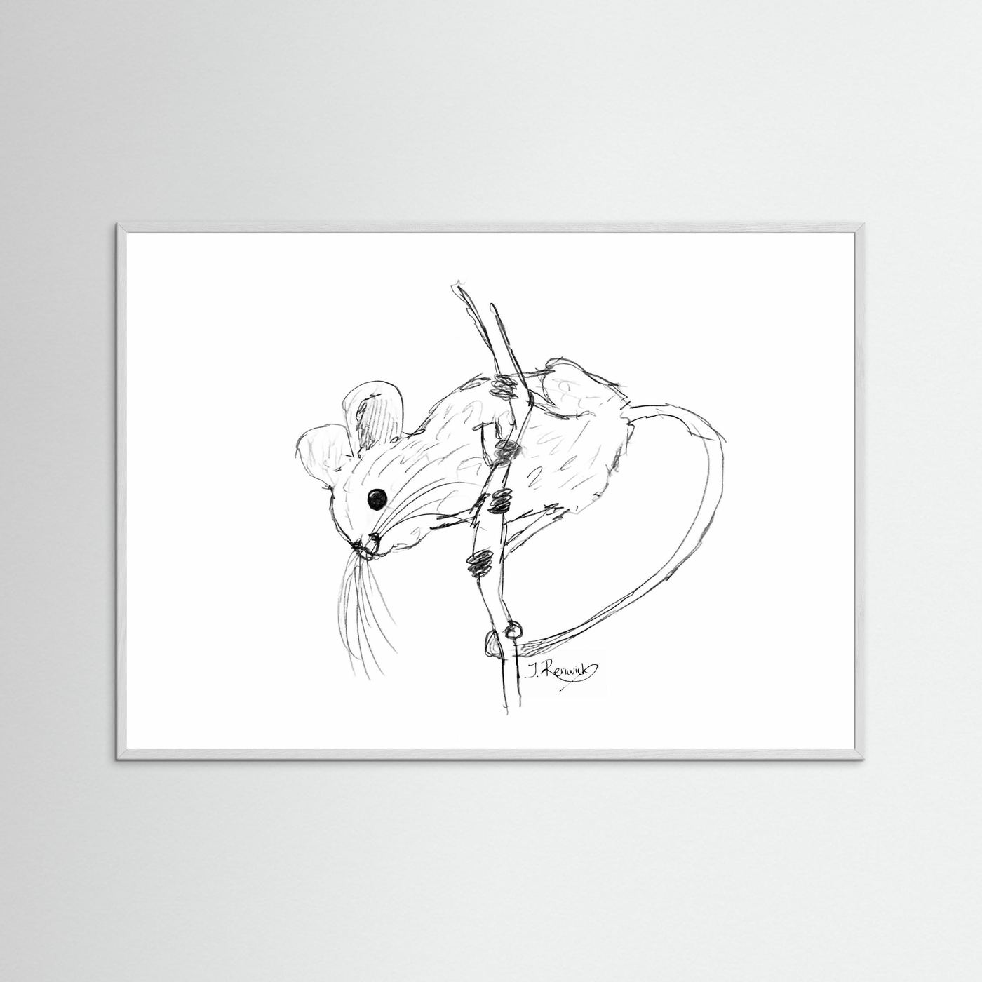 Harvest mouse - no. 213