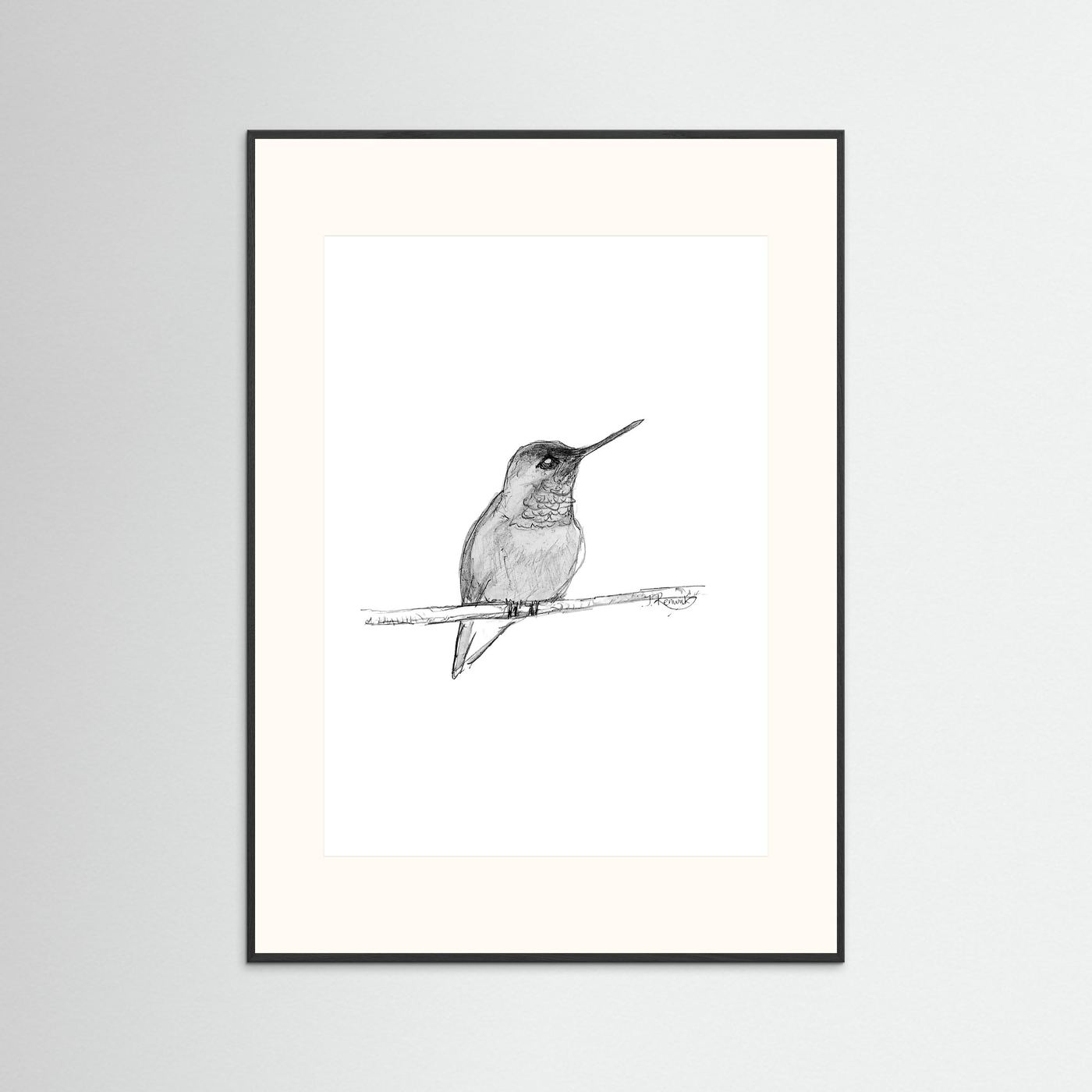 Hummingbird - no. 594
