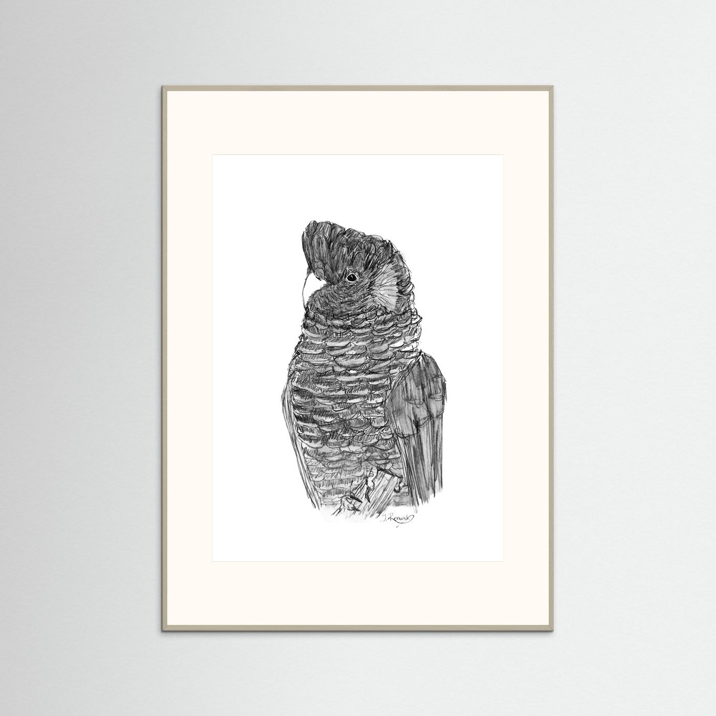 Yellow-tailed Black Cockatoo - no. 229 [A4/letter sizes] 