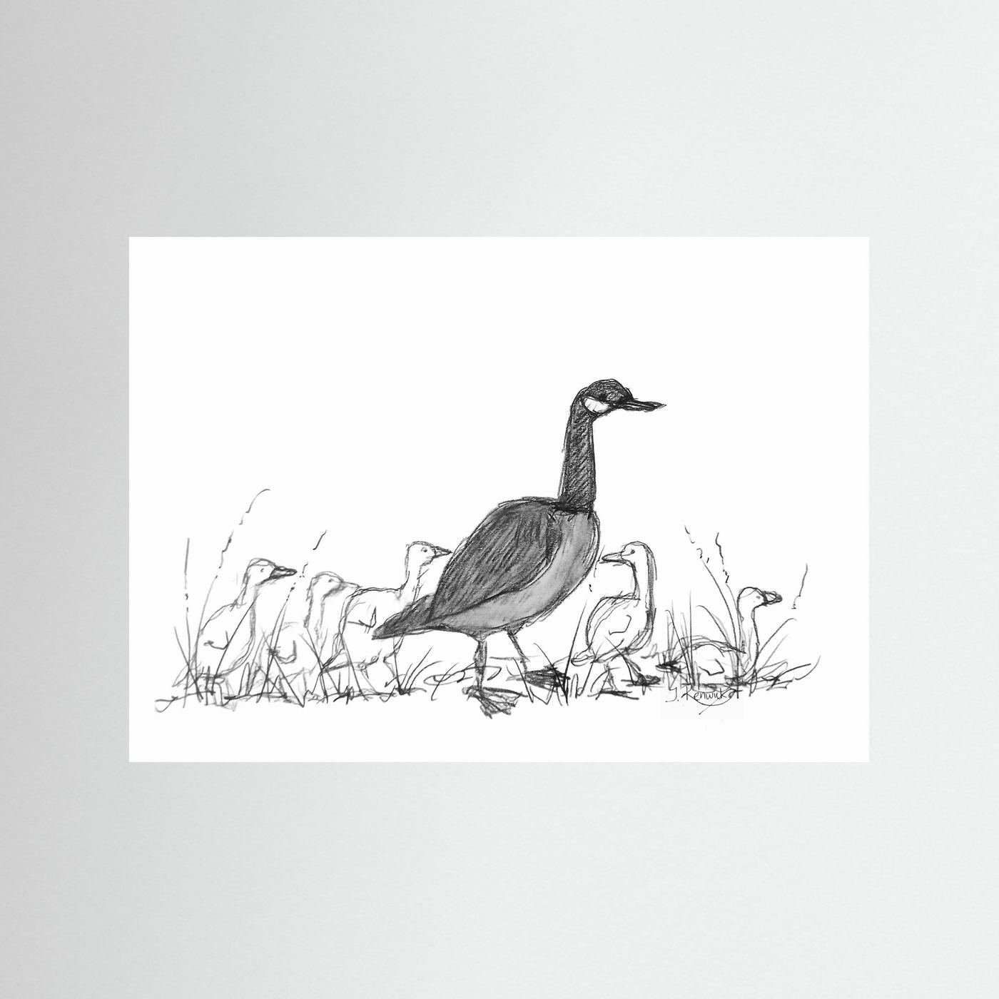 Canada Goose with Goslings - no. 573