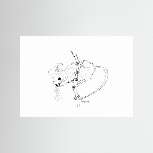 Harvest Mouse - no. 213