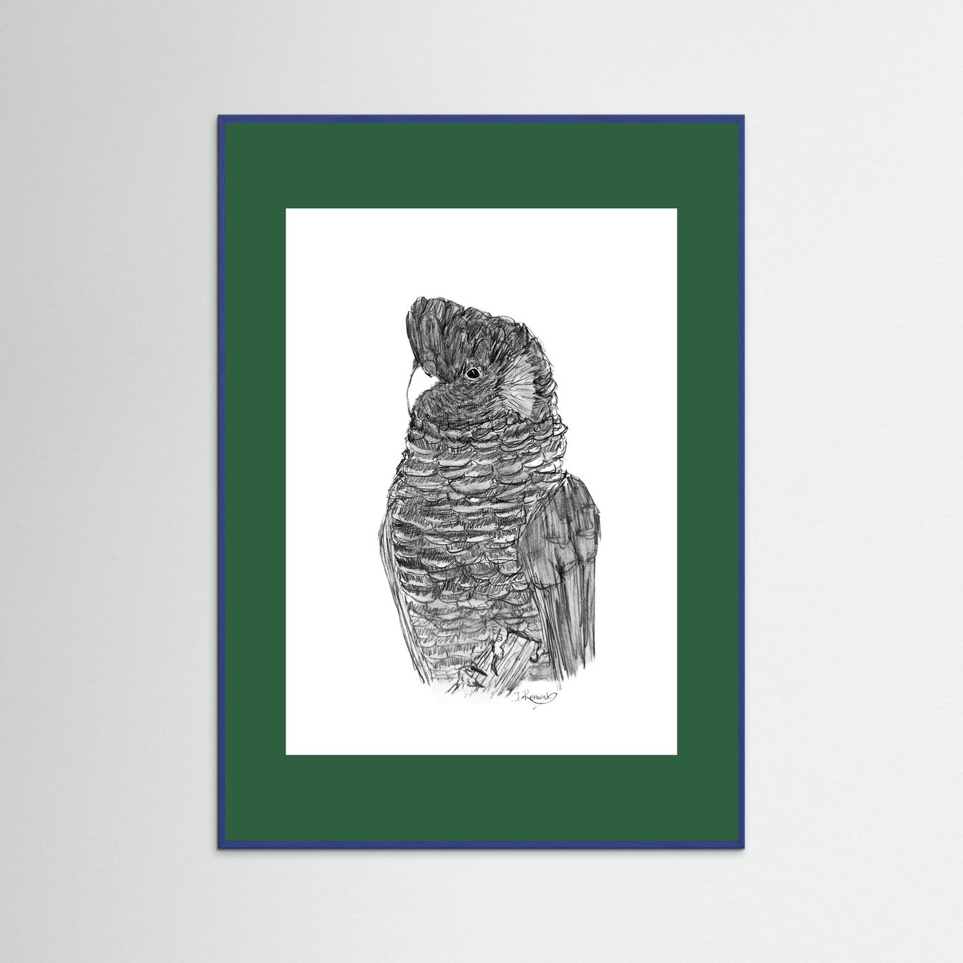 Yellow-tailed Black Cockatoo - no. 229 [A4/letter sizes] 