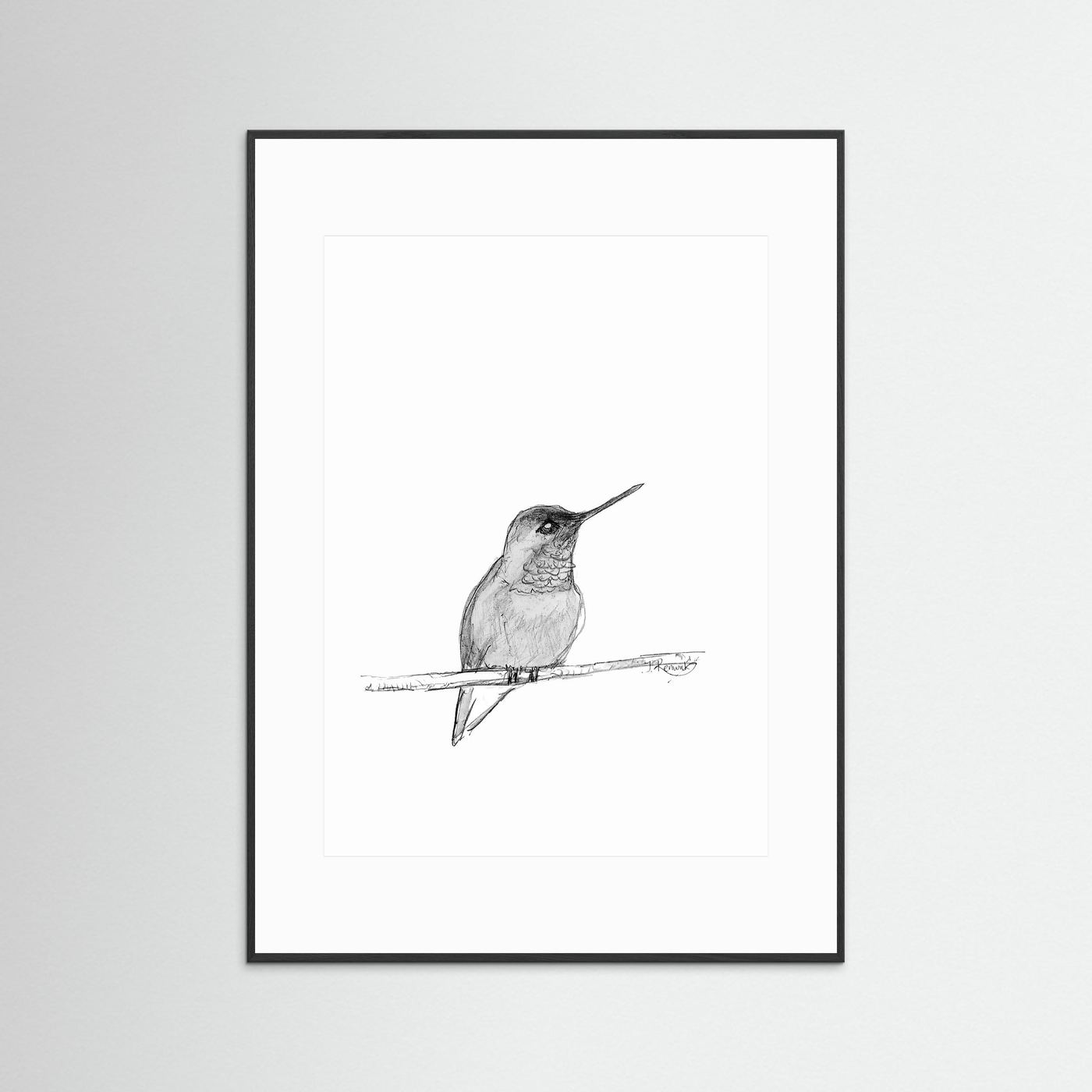 Hummingbird - no. 594