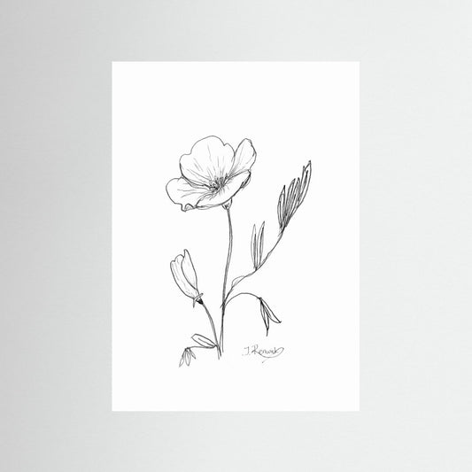California Poppy - no. 794