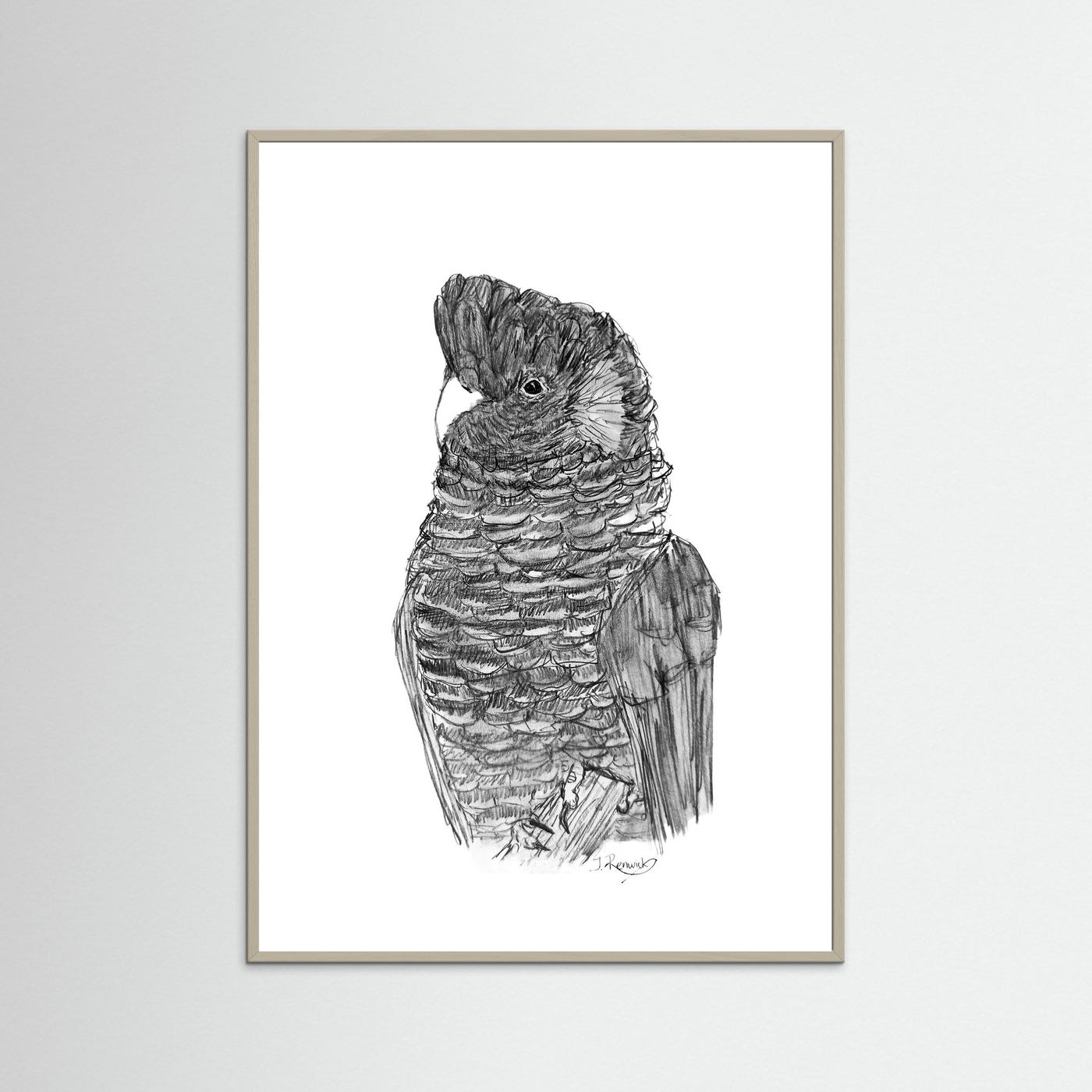 Yellow-tailed Black Cockatoo - no. 229 [A4/letter sizes] 