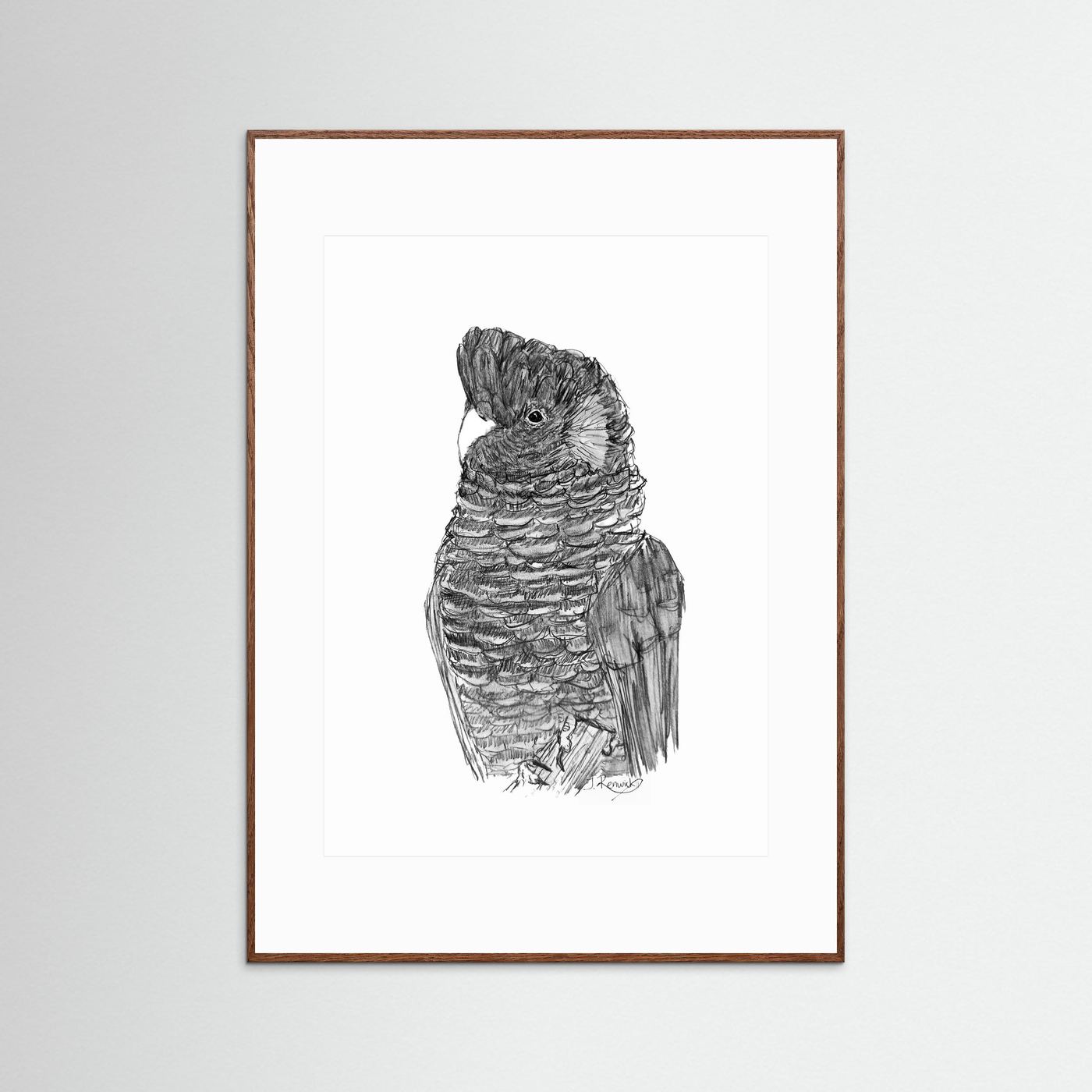 Yellow-tailed Black Cockatoo - no. 229