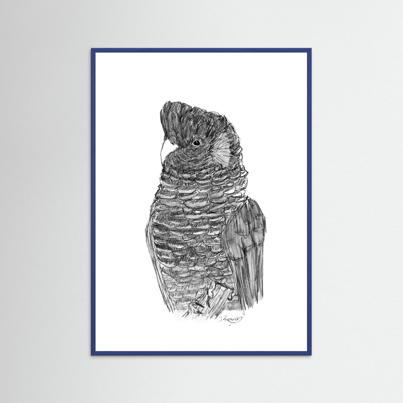 Yellow-tailed Black Cockatoo - no. 229 [A4/letter sizes] 