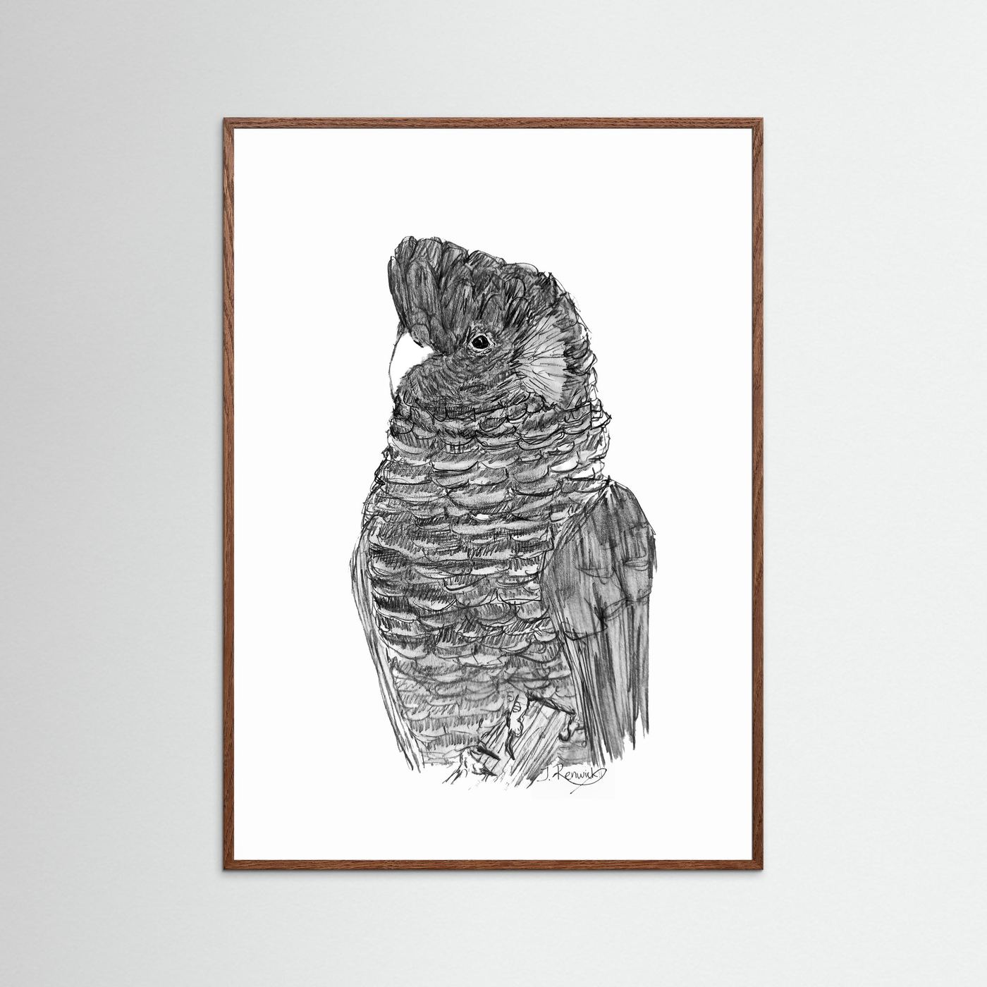 Yellow-tailed Black Cockatoo - no. 229
